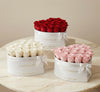 Heart Box