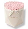 Elena Grand Box