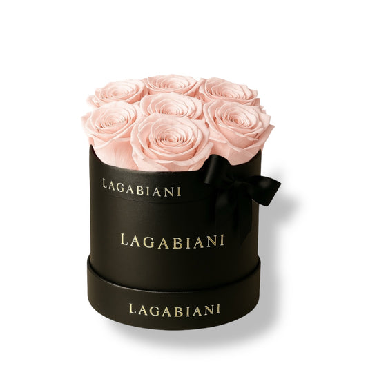 Petite Round Box