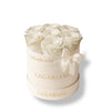 Petite Round Box